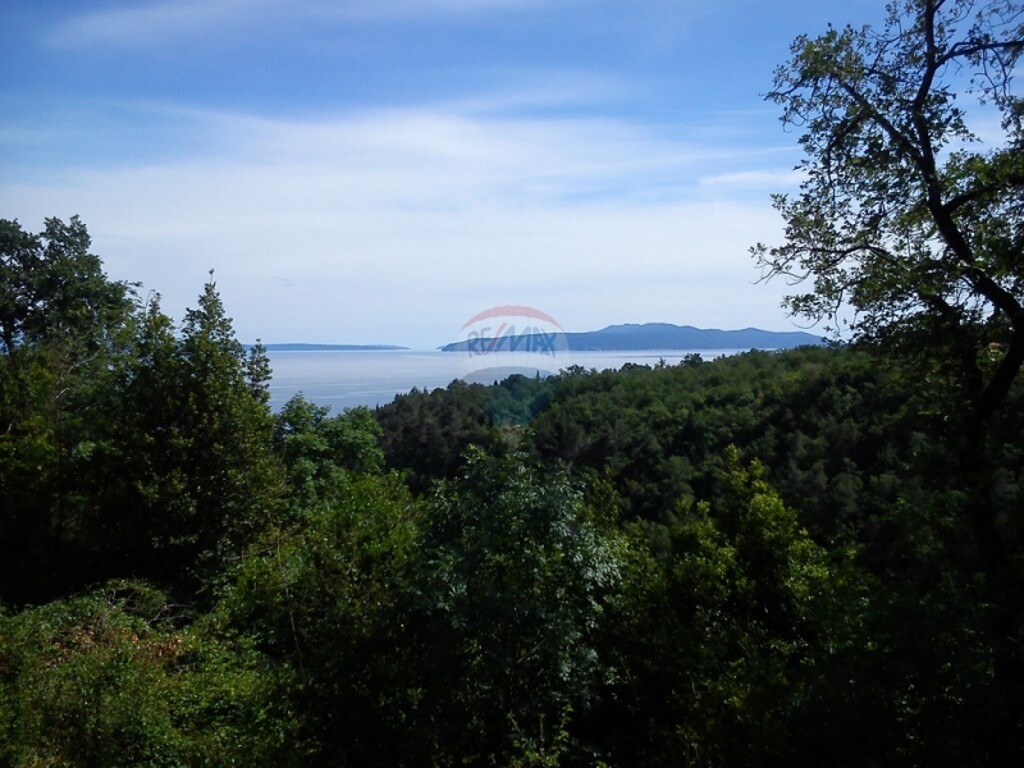 Image 5411037 - 2