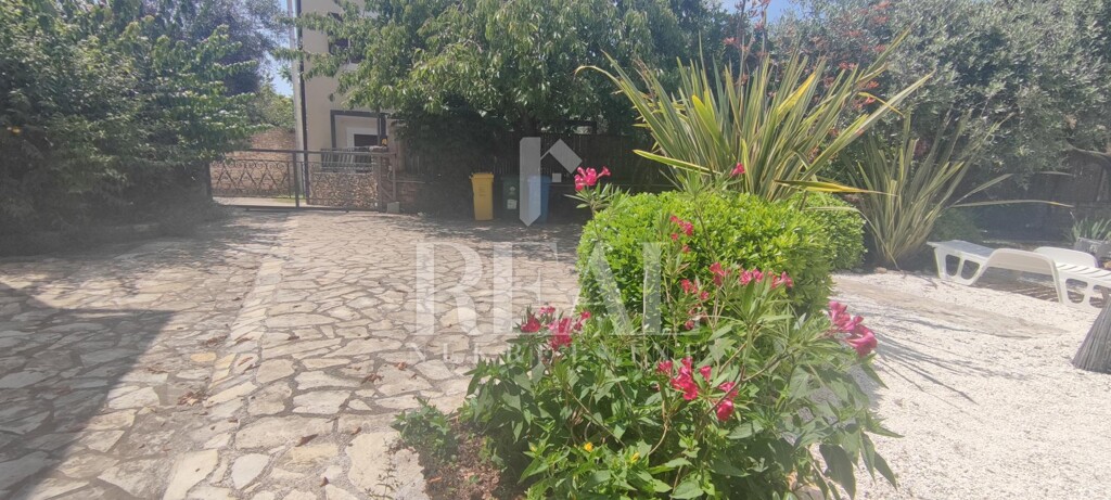 Image 15