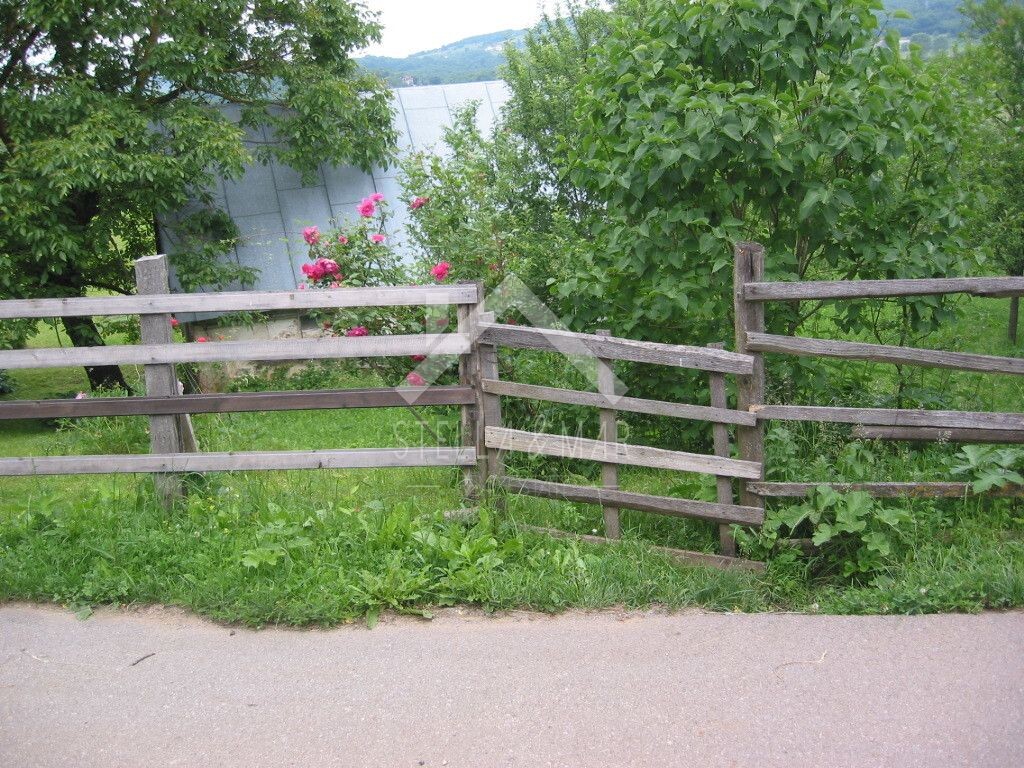 Image 5195037 - 12