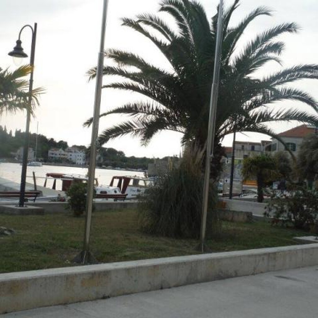 Image 3811915 - 11