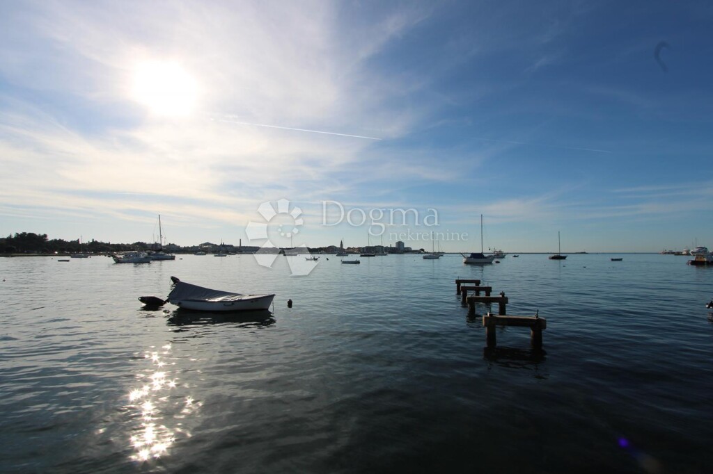 Image 22