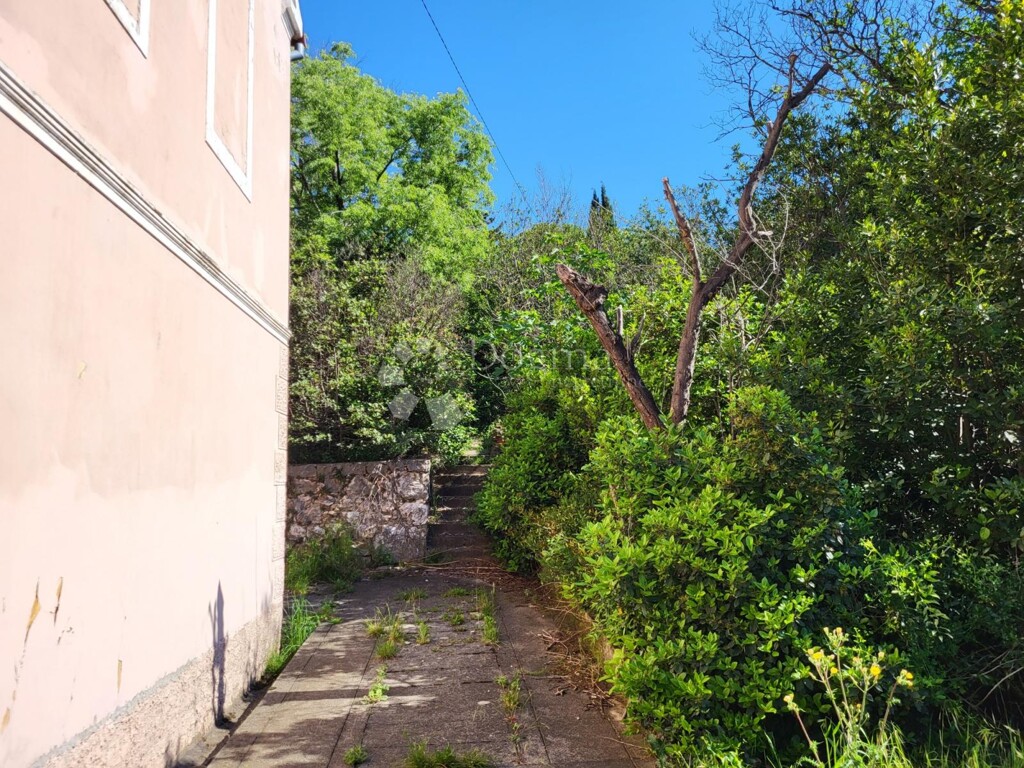 Image 24