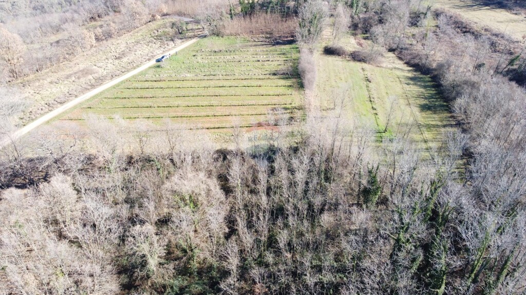 Image 5470336 - 8