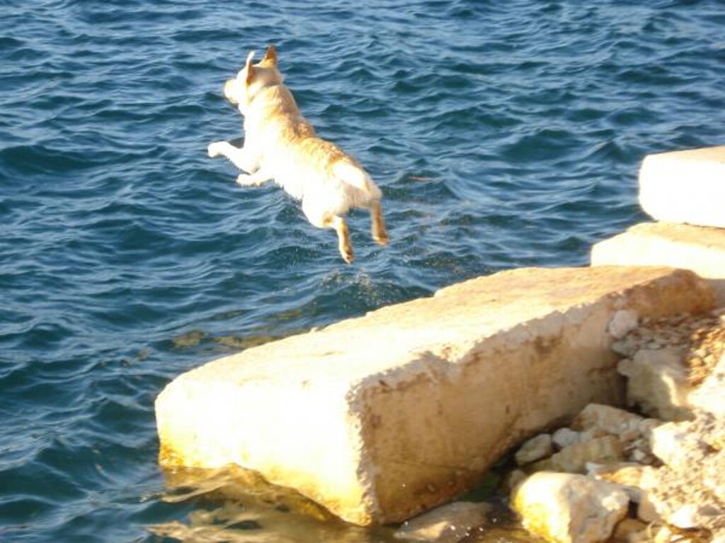 Image 3813644 - 35