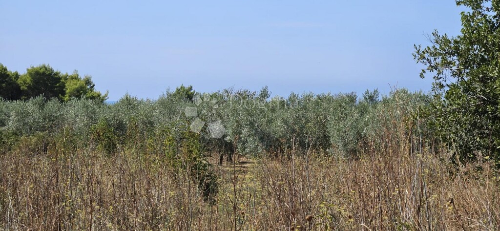 Image 14
