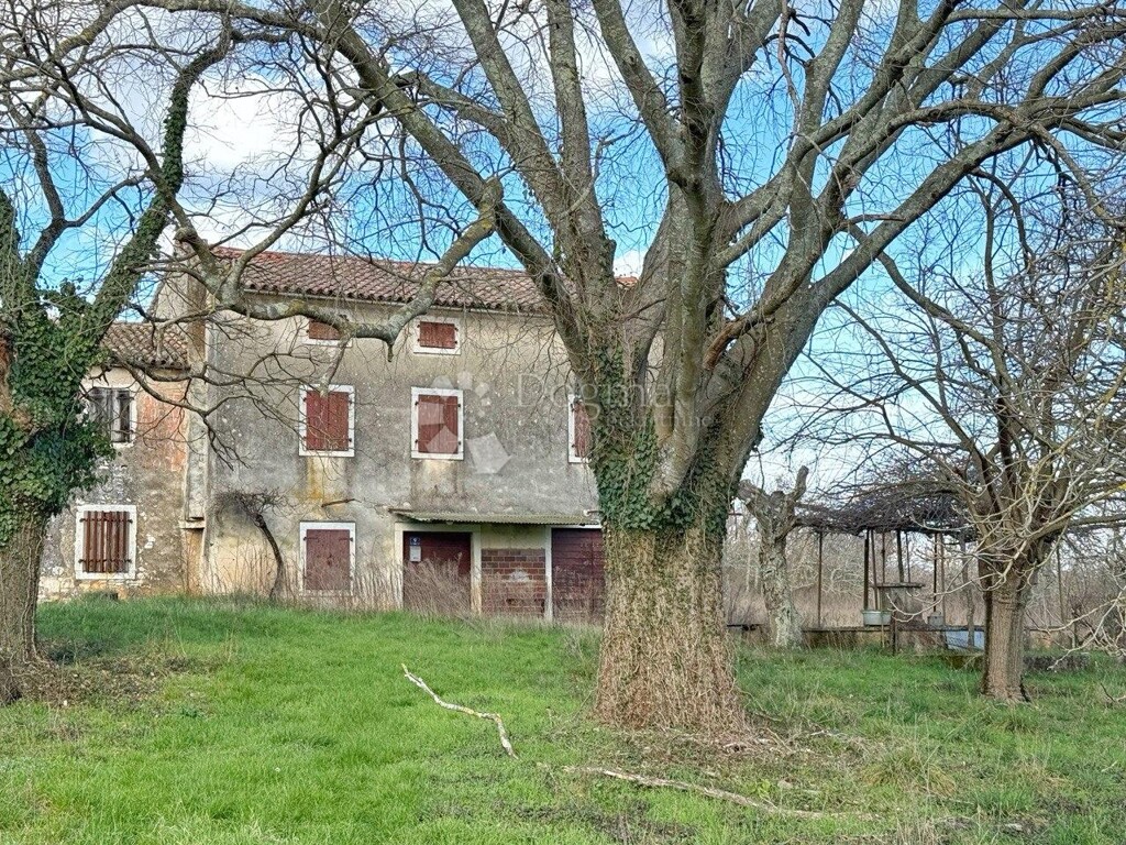 Image 15