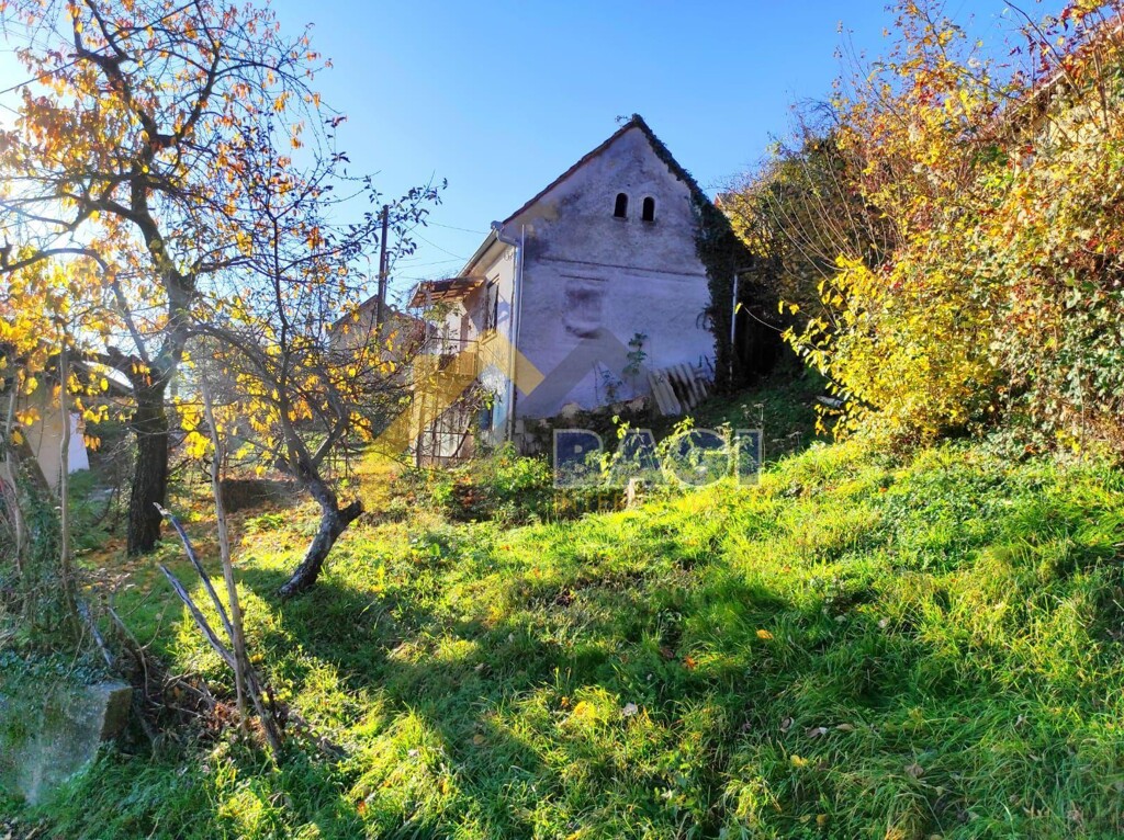 Image 15