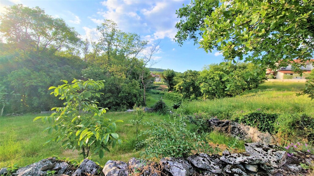 Image 5429793 - 2