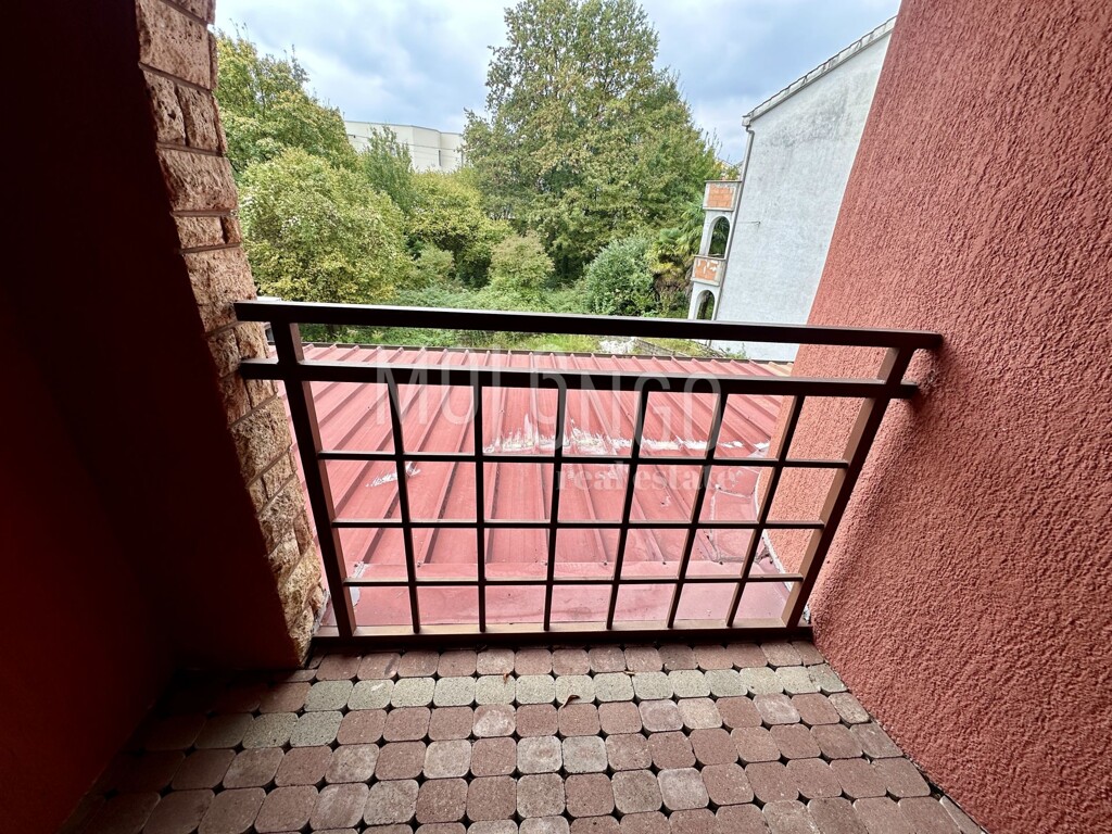 Image 12