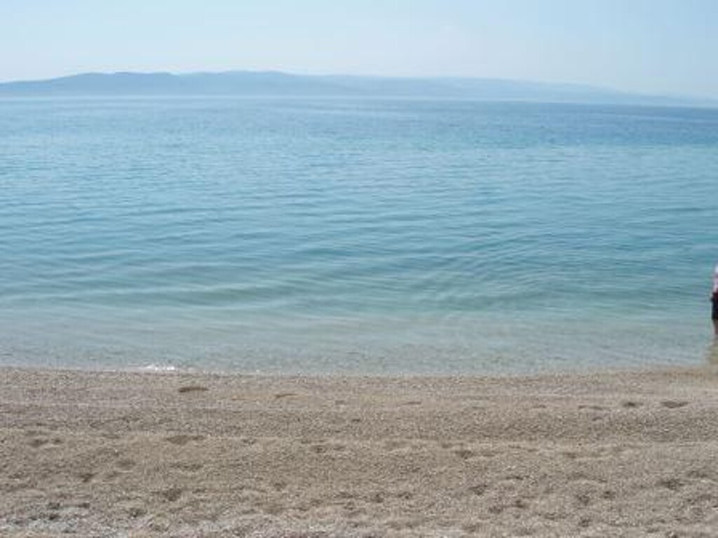 Image 3838448 - 6