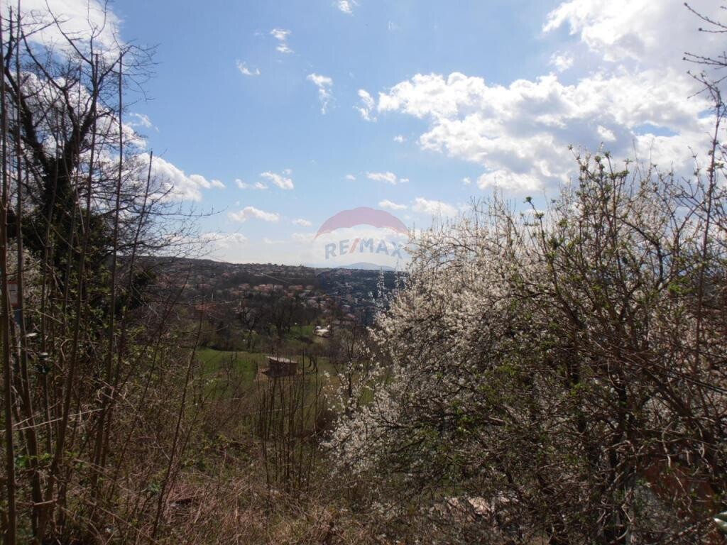 Image 5410890 - 1