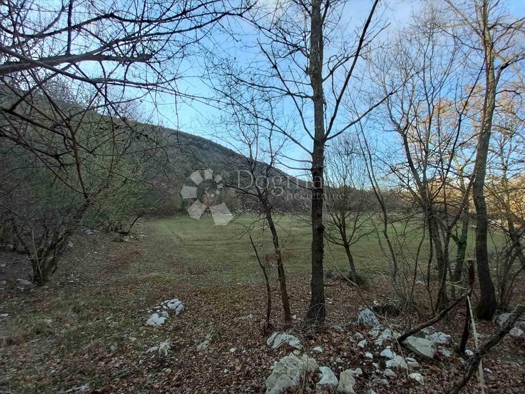 Image 15