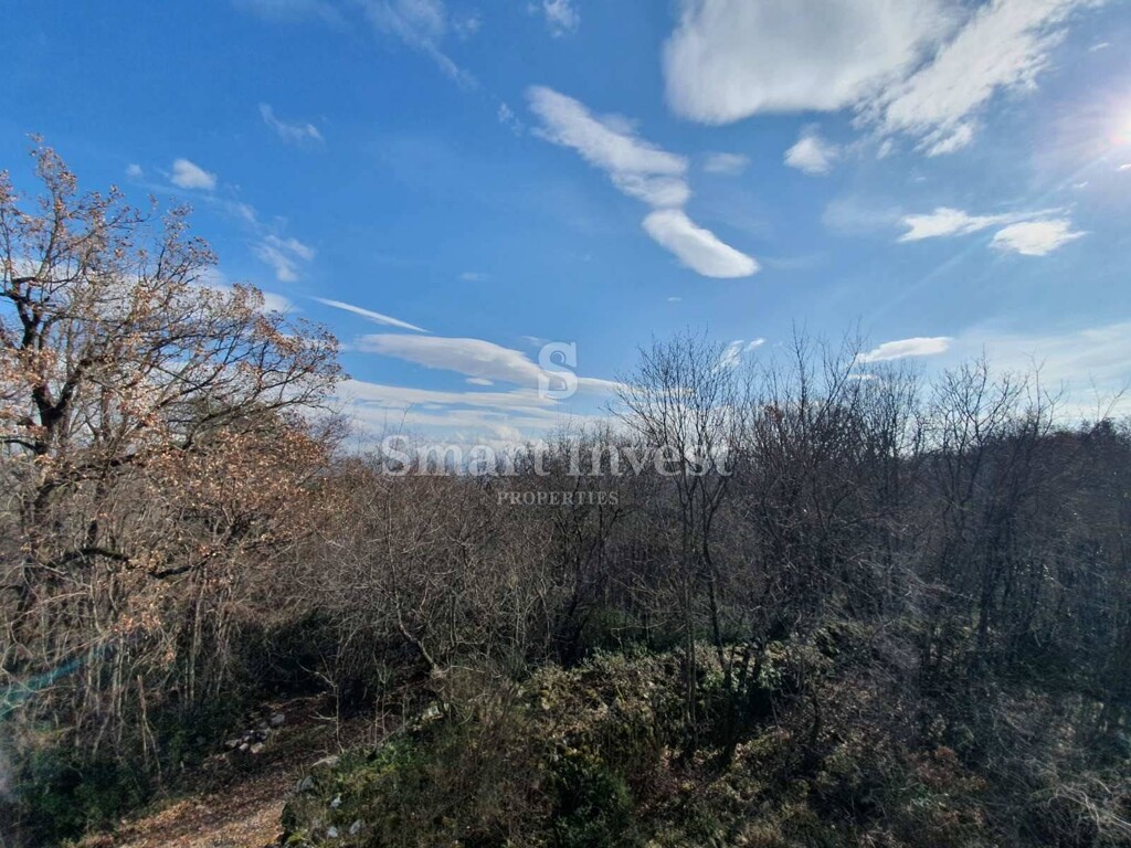 Image 14