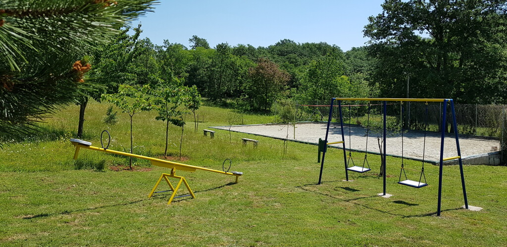 Image 11