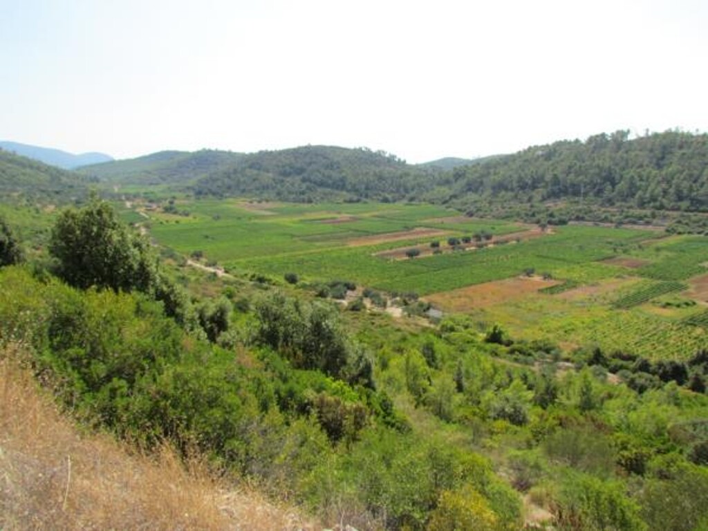Image 3810888 - 23
