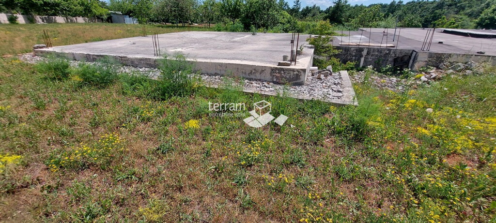 Image 15