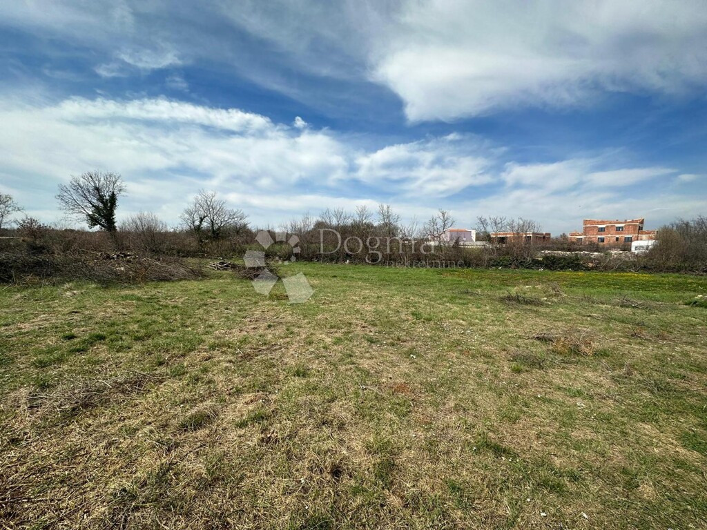 Image 16
