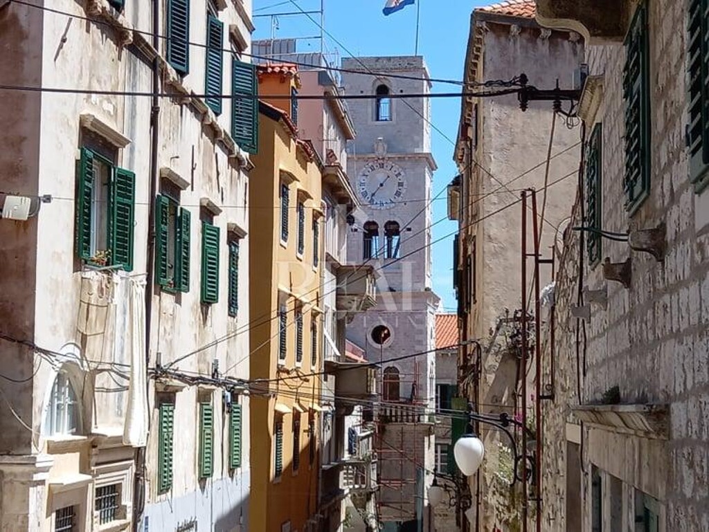 Image 19