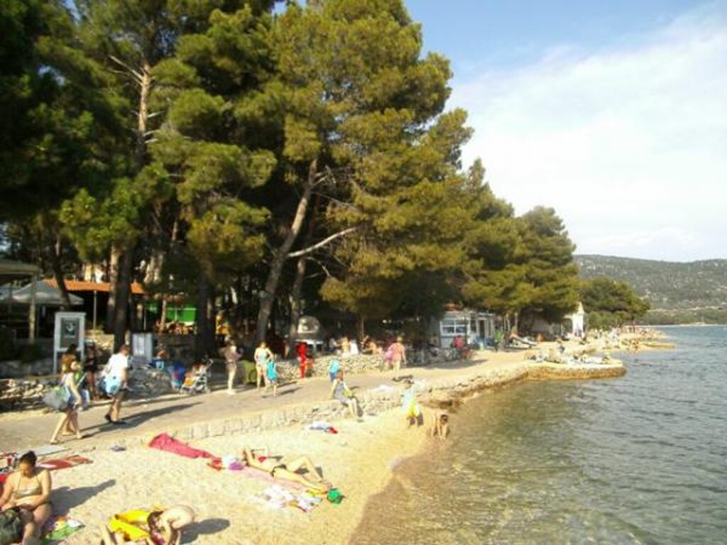 Image 3838653 - 5