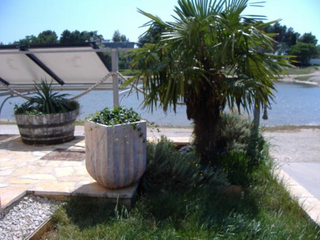 Image 3813236 - 9