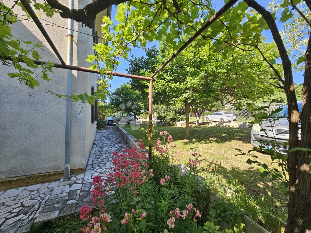 Image 22