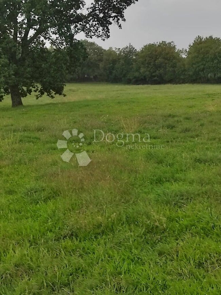 Image 25