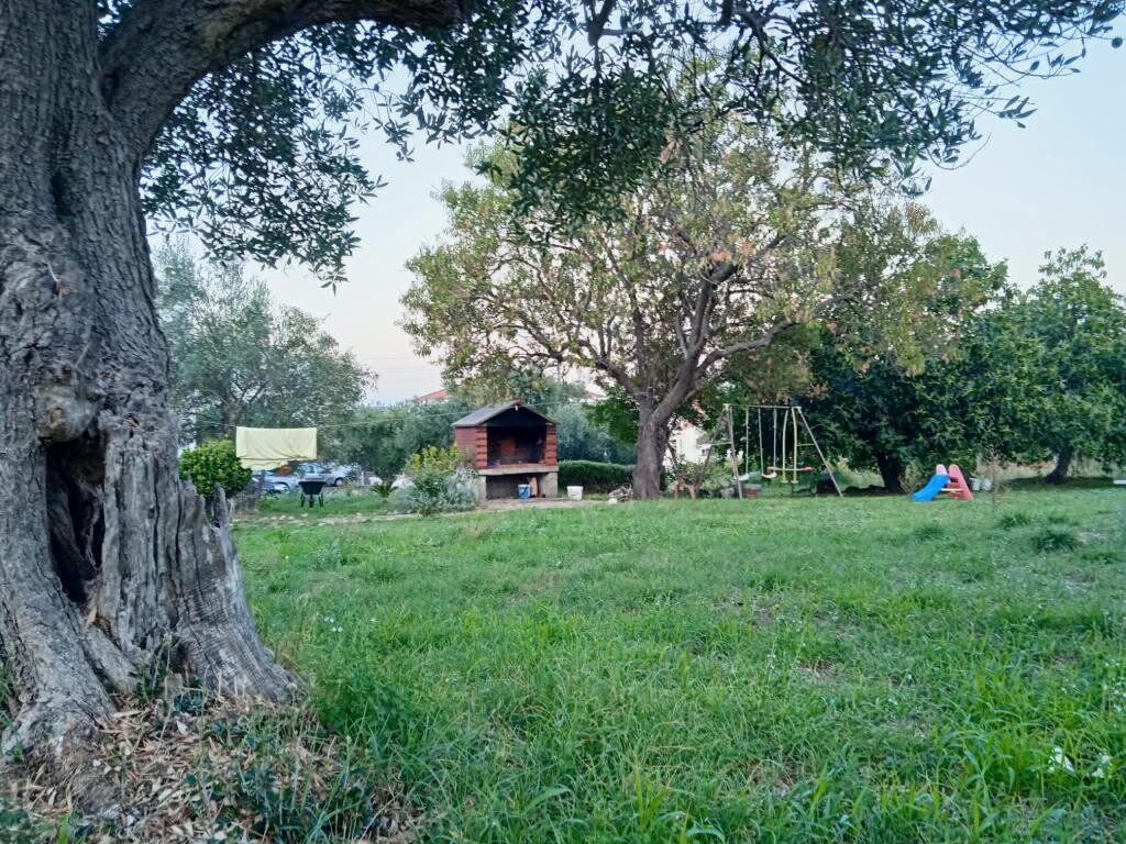 Image 3813070 - 14