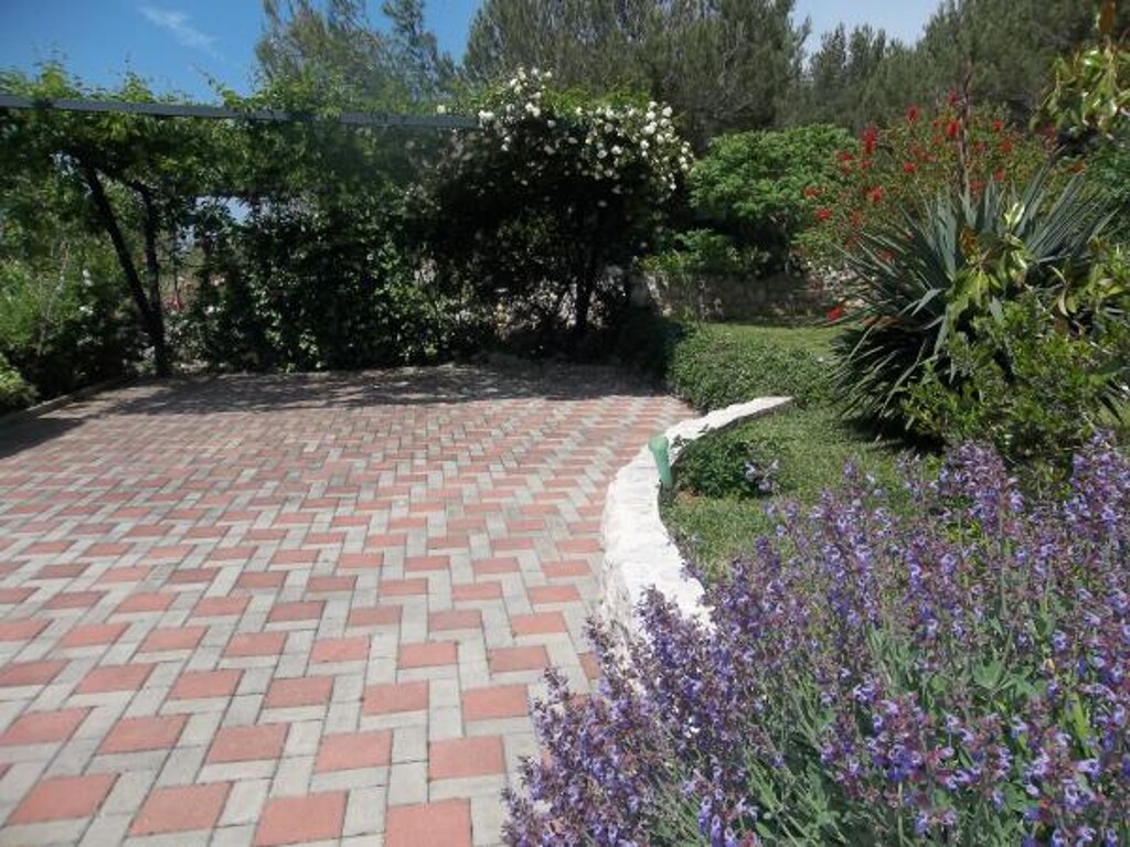 Image 3812098 - 1