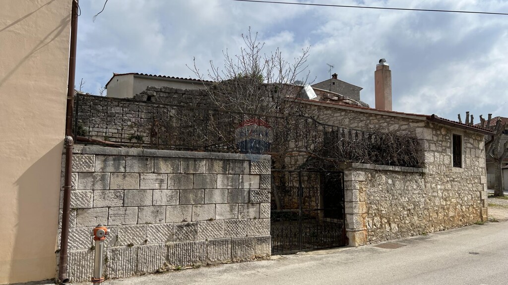 Image 8
