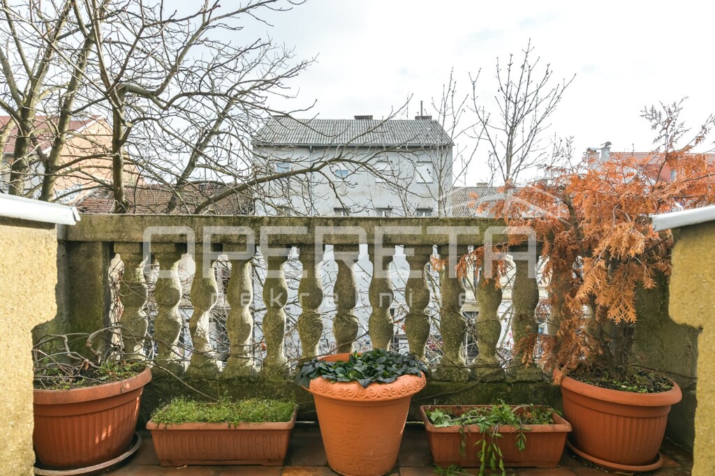 Image 13