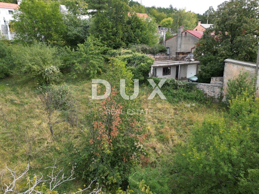Image 13