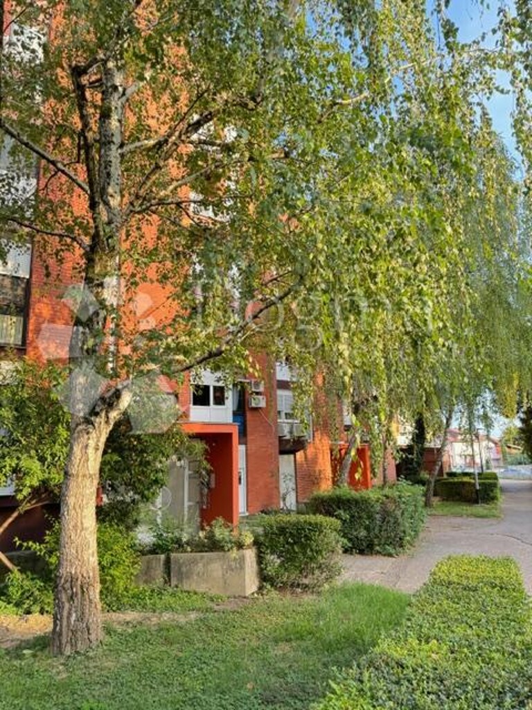 Image 15