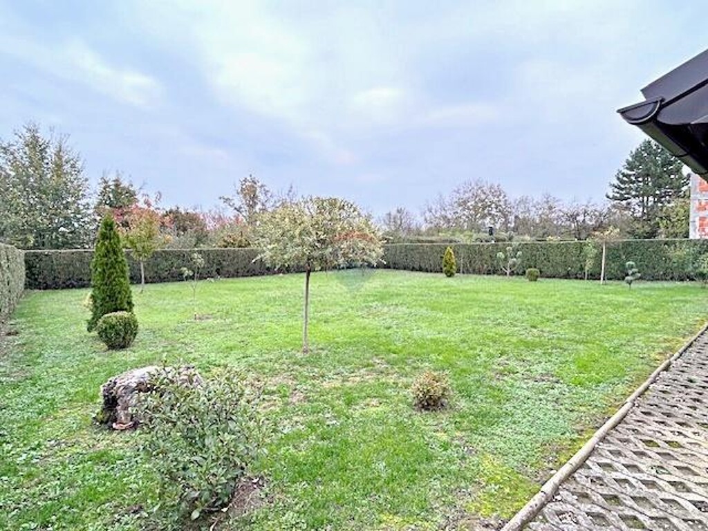 Image 21