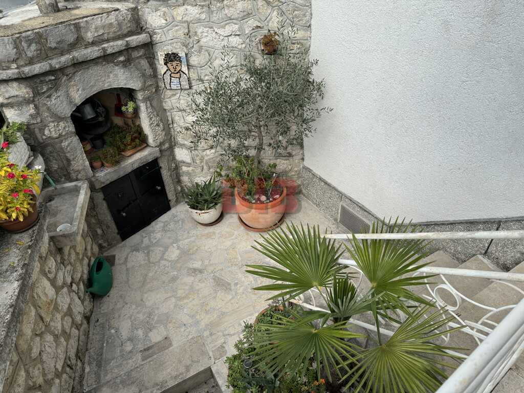Image 21