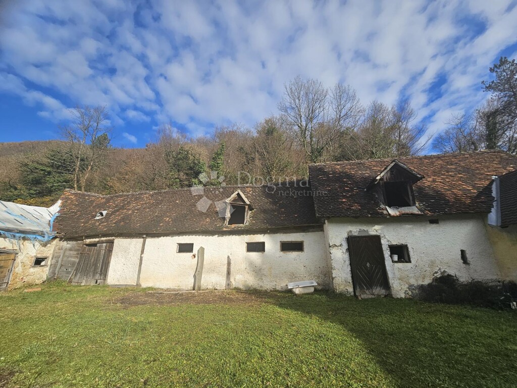 Image 14