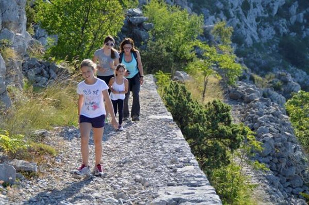 Image 3811204 - 16