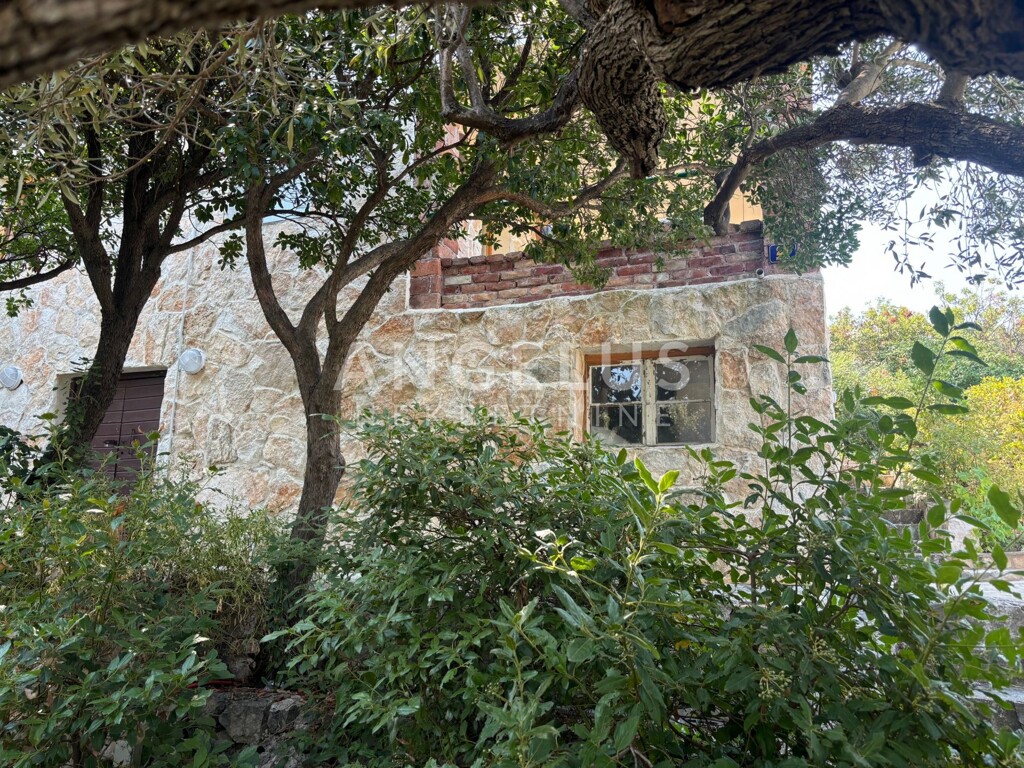 Image 6208414 - 17