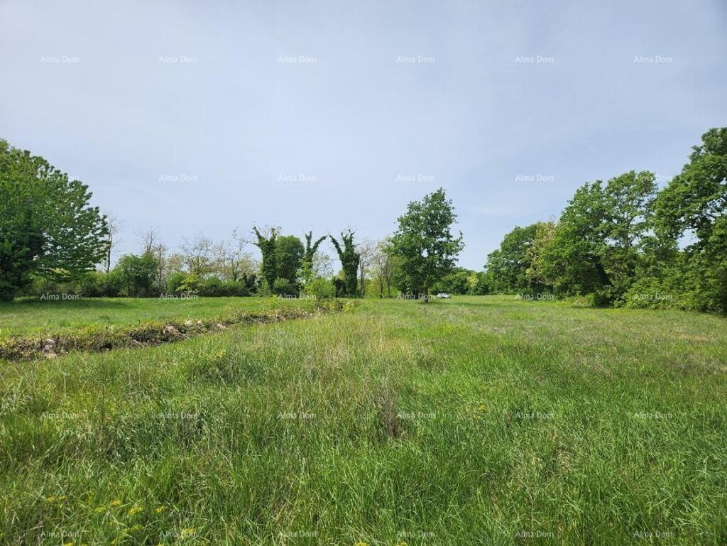 Image 15