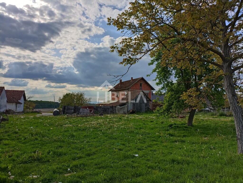 Image 15