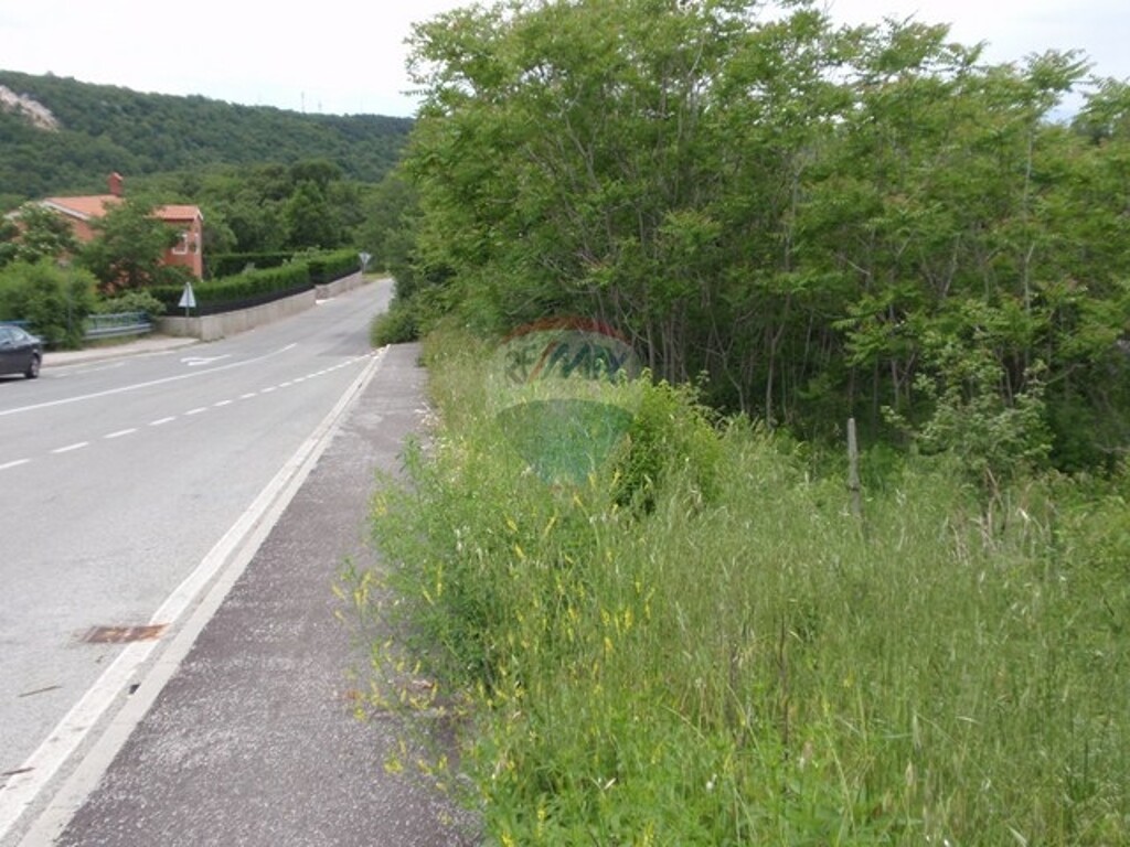 Image 5411112 - 7