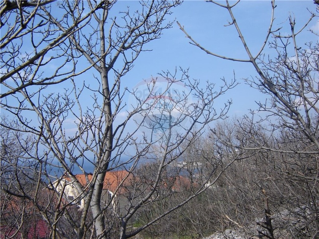Image 5411066 - 3