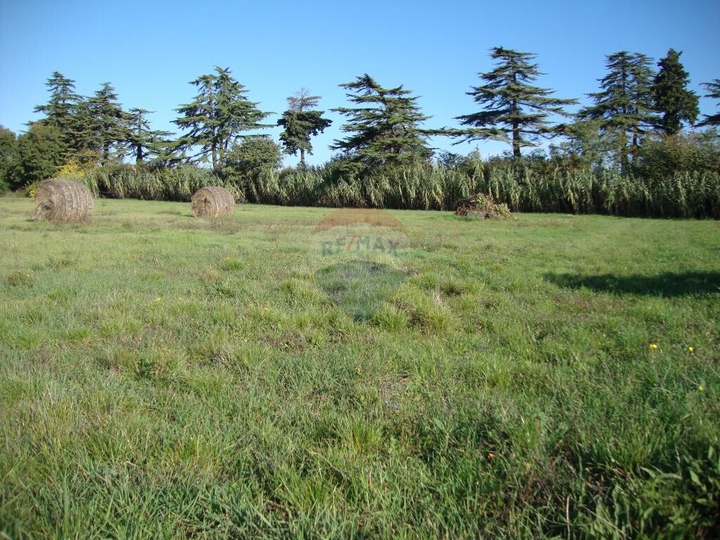 Image 5410625 - 1