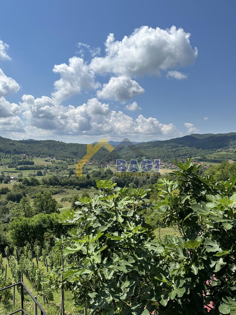 Image 13