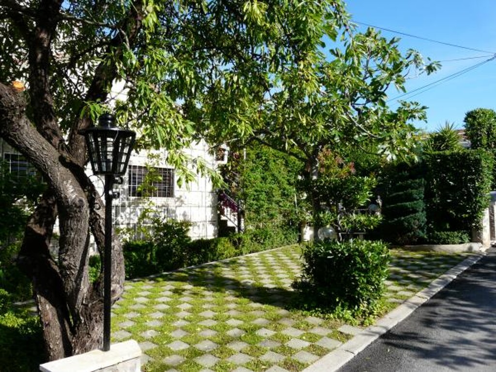 Image 3813885 - 2