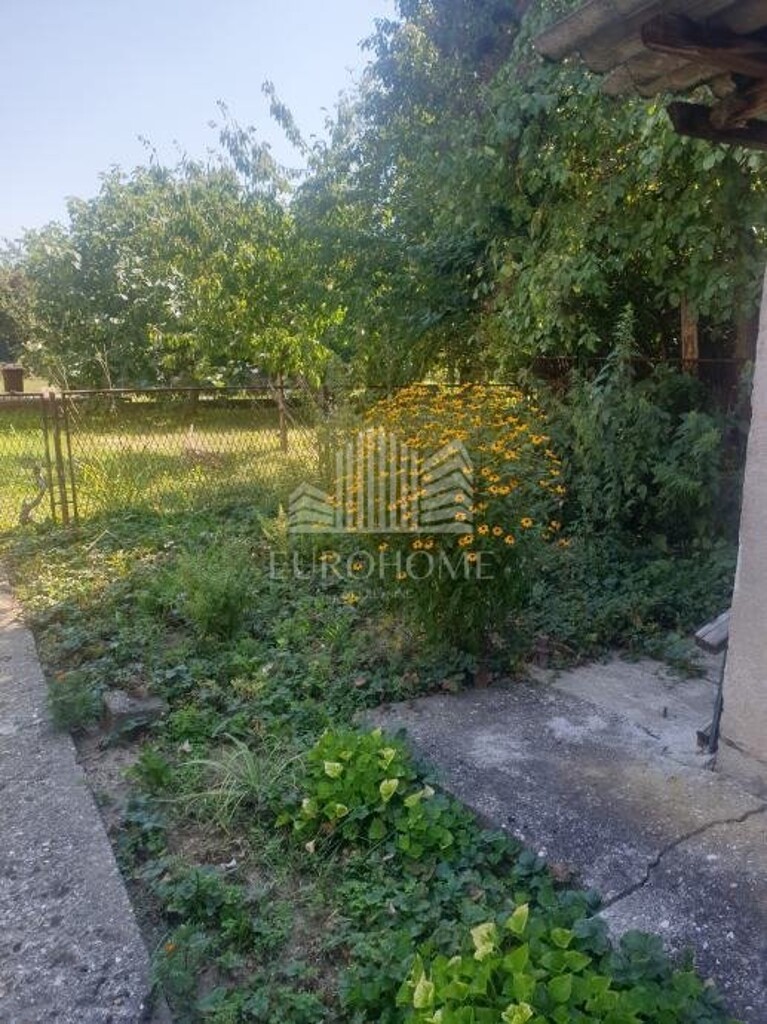 Image 14