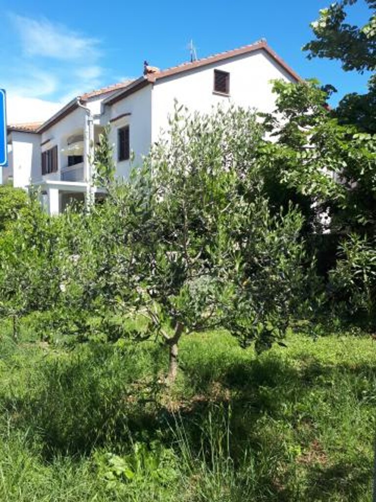 Image 3815193 - 5