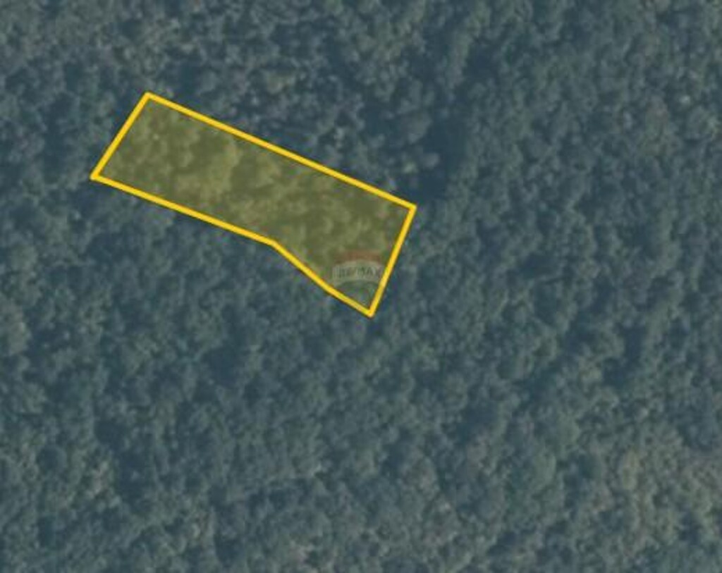 Image 5430541 - 1