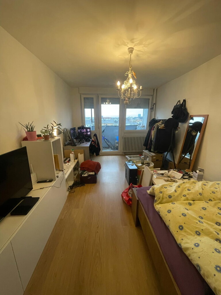 Image 8