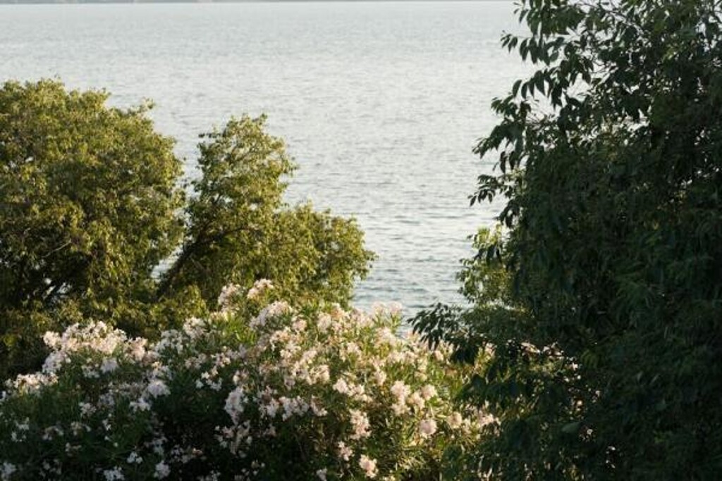 Image 3813672 - 5