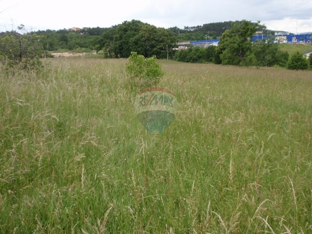 Image 5411111 - 4